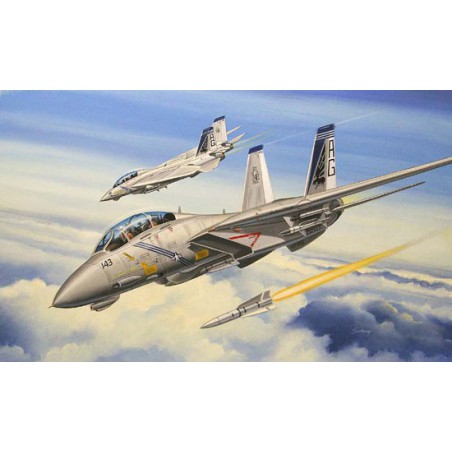 Maquette d'avion en plastique F-14B Tomcat 1/72