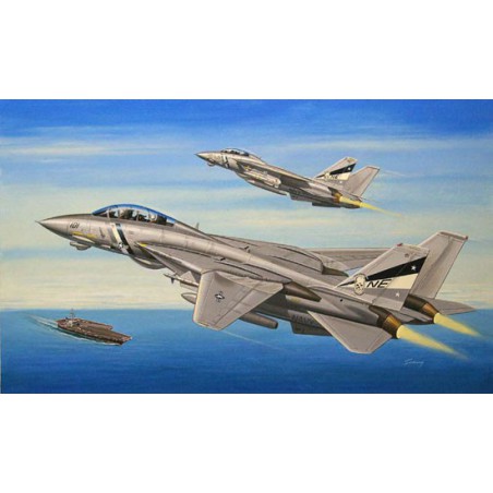 Maquette d'avion en plastique F-14D Tomcat 1/72