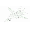 F-14A plastic plane model Tomcat 1/72 | Scientific-MHD