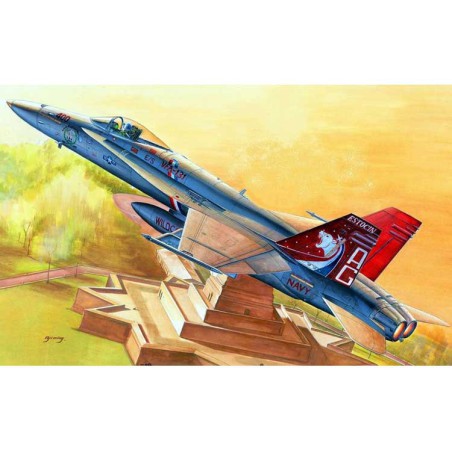 Plastic plane model F/A-18C HORNET 1/48 | Scientific-MHD