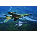 F-105D plastic plane model Thunderchief 1/48 | Scientific-MHD