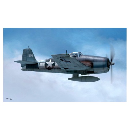 Maquette d'avion en plastique F6F-3N HELLCAT 1/48