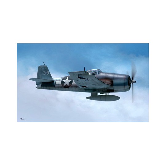 Maquette d'avion en plastique F6F-3N HELLCAT 1/48
