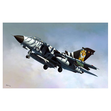 Tornado ecr 1/48 plastic plane model | Scientific-MHD