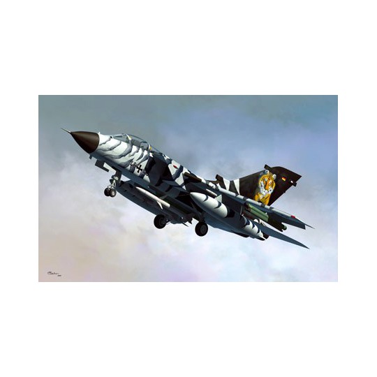 Maquette d'avion en plastique TORNADO ECR 1/48 Maquette d'avion en plastique TORNADO ECR 1/48