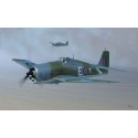 Kunststoffflugzeug Modell Hellcat Flotte Airarm Mk.ii1/48 | Scientific-MHD