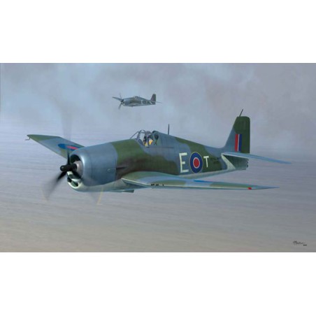 Plastic plane model Hellcat Fleet Airarm MK.II1/48 | Scientific-MHD