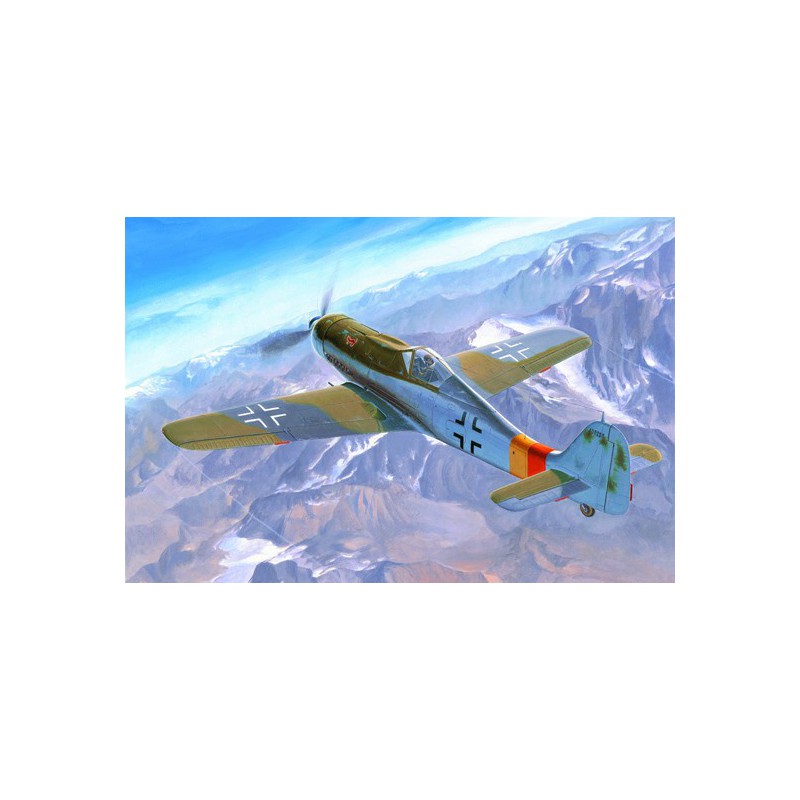 Maquette d'avion en plastique Focke Wulf FW190D-9J 1/48