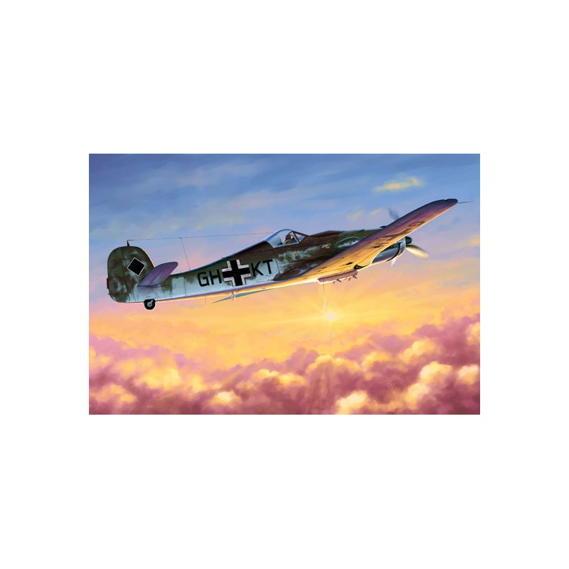 Maquette d'avion en plastique Focke Wulf 190D-10 1/48