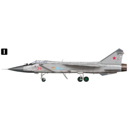 MIG-31BM plastic plane model. W/KH-47M2 1/48 | Scientific-MHD