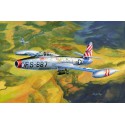 F-84E plastic plane model Thunderjet 1/32 | Scientific-MHD