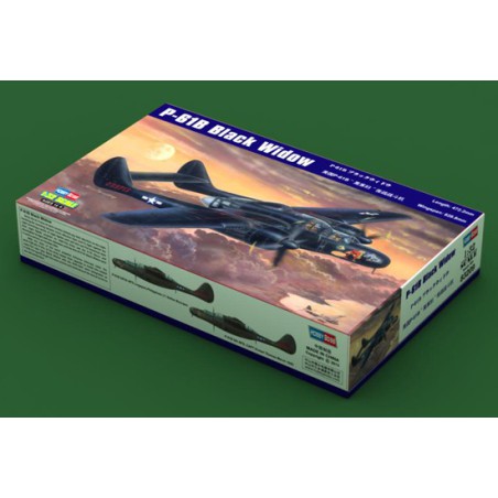 P-61B Black Widow 1/32 plastic plane model | Scientific-MHD