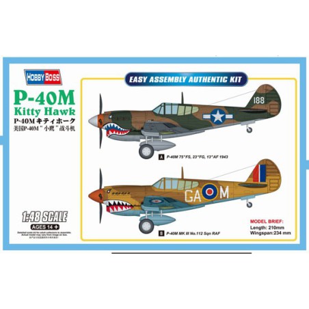 Maquette d'avion en plastique P-40E Kitty Hawk Fighter 1/48