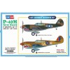 Maquette d'avion en plastique P-40E Kitty Hawk Fighter 1/48