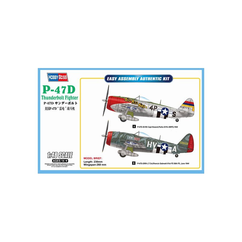 Maquette d'avion en plastique P-47D Thunderbolt 1/48