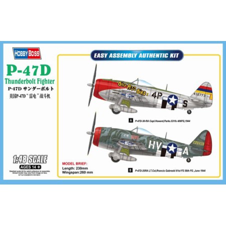 Maquette d'avion en plastique P-47D Thunderbolt 1/48