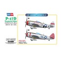 P-47D Thunderbolt 1/48 plastic plane model | Scientific-MHD