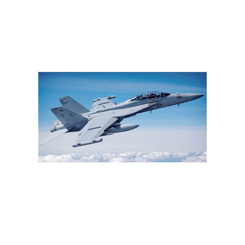 Maquette d'avion en plastique EA-18G Growler 1/48