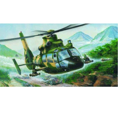 Kunststoffhubschrauber-Modell Z-9G bewaffneter Hubschrauber | Scientific-MHD