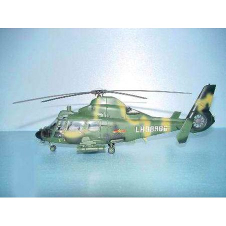 Maquette d'hélicoptère en plastique Z-9G ARMED HELICOPTER