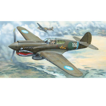 P-40E WAR HAWK 1/32 plastic plane model | Scientific-MHD