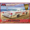 CHRYSLER TIM FLOCK 1/25 plastic car cover | Scientific-MHD