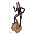 Catwoman Figur 19661/8 | Scientific-MHD