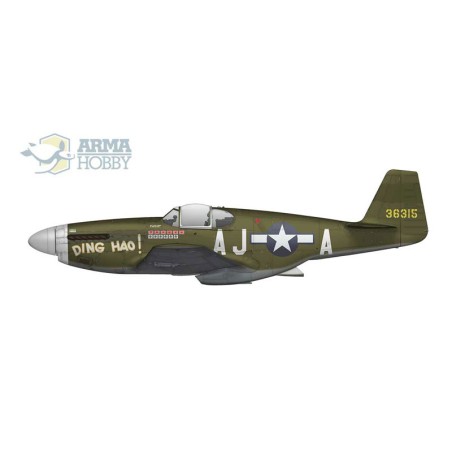 Maquette d'avion en plastique P-51 B/C Mustang Expert Set 1/72