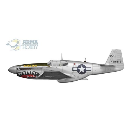 Maquette d'avion en plastique P-51 B/C Mustang Expert Set 1/72