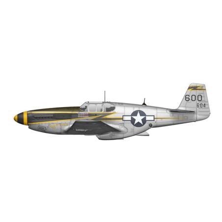 F-6C Mustang Plastic Airplane Expert Set 1/72 | Scientific-MHD