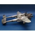 P-38L-5-LO-Blitzplastikmodell für Kunststoffebene | Scientific-MHD