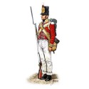Halbinsel Britische Infanterie -Figur | Scientific-MHD