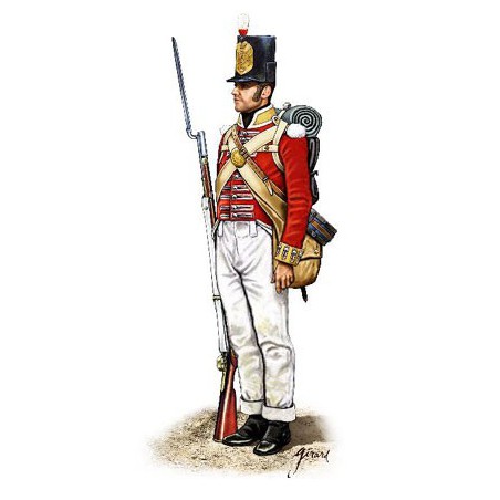 Halbinsel Britische Infanterie -Figur | Scientific-MHD