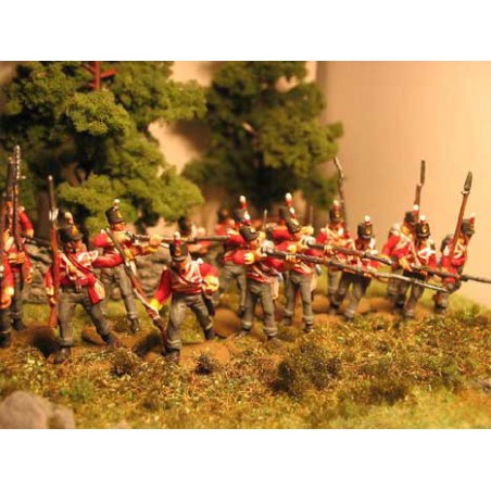 Halbinsel Britische Infanterie -Figur | Scientific-MHD