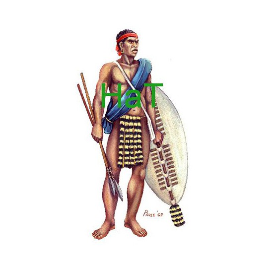 Figurine Native Natal Contingent 1/72