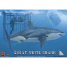 Great White Shark 1/18 figurine | Scientific-MHD