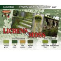 Acrylic paint set lichens and foam | Scientific-MHD