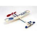 Free flight airplane radio controlle display 84 gliders | Scientific-MHD