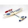 Avion de vol libre radiocommandé Présentoir 84 Planeurs