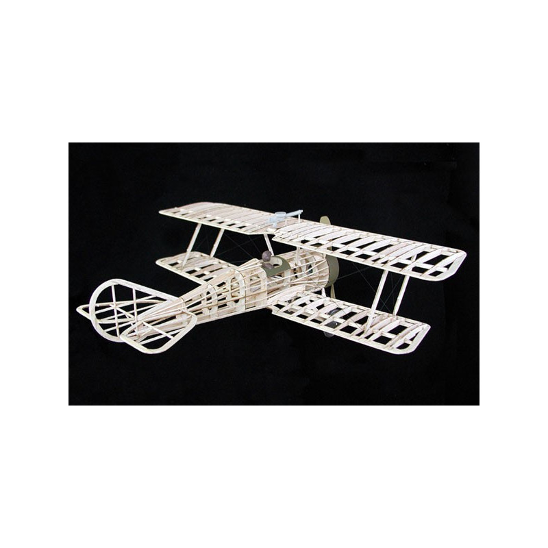 Avion de vol libre radiocommandé THOMAS MORSE SCOUT