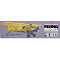 Free Radiochered flight plane Piper Super Cub | Scientific-MHD