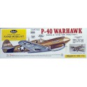 Free radio-free flight aircraft P-40 Warhawk | Scientific-MHD