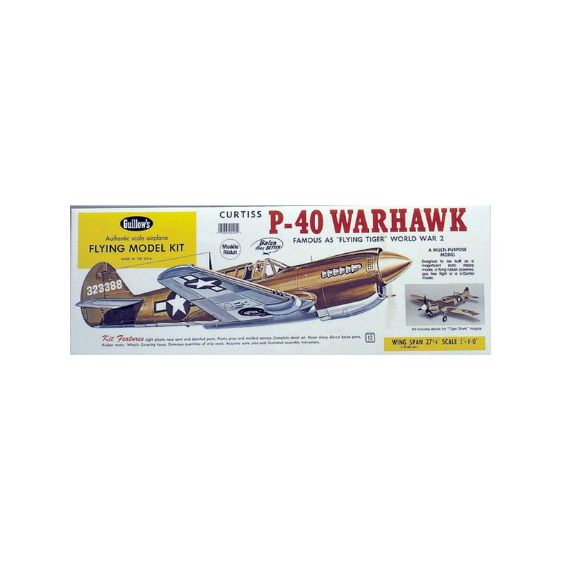 Avion de vol libre radiocommandé P-40 WARHAWK