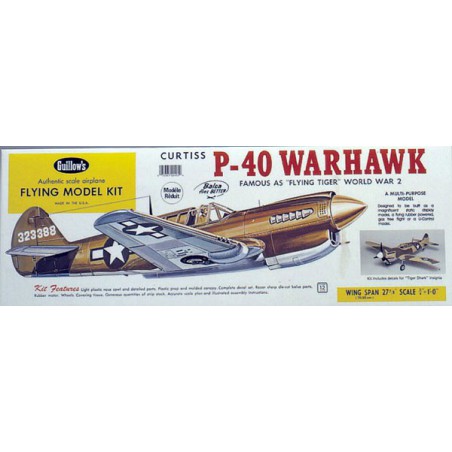 Avion de vol libre radiocommandé P-40 WARHAWK