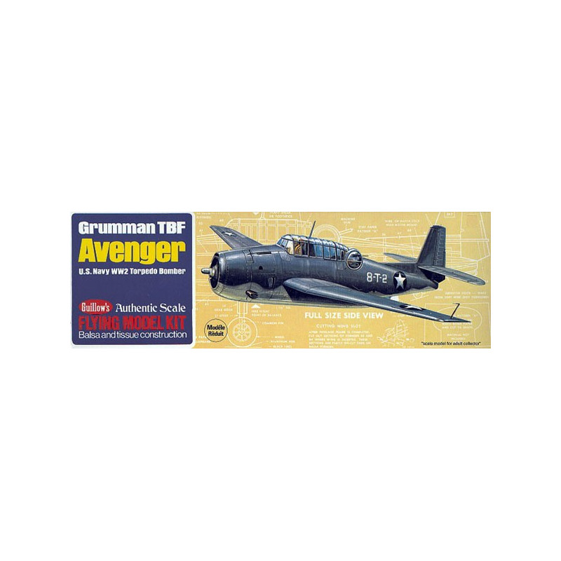 Avion de vol libre radiocommandé AVENGER