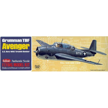 Avion de vol libre radiocommandé AVENGER