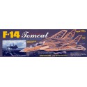 Flight plane radio controlled F-14 Tomcat | Scientific-MHD