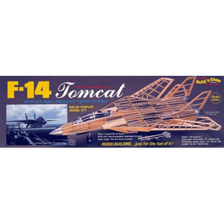 Flugflugzeug-Funksteuerung F-14 Tomcat | Scientific-MHD