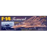 Flight plane radio controlled F-14 Tomcat | Scientific-MHD