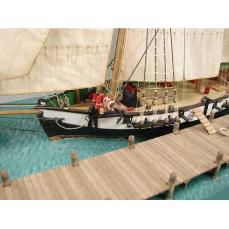 Berbice -to -quaiBaltimore 1/96 radio -controlled sailboat | Scientific-MHD